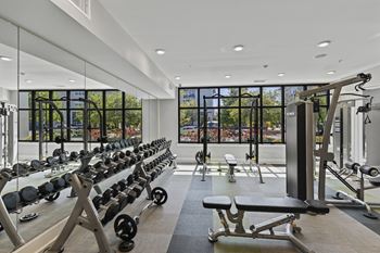 A gym with a row of weights machines and a large window